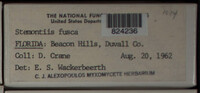 Image Associated With the Occurence